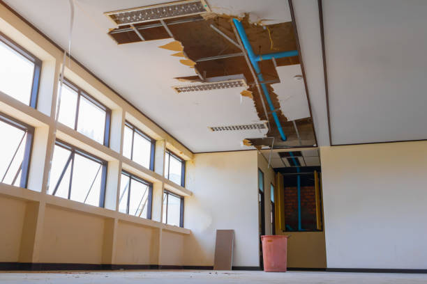 Best Residential water damage restoration  in Kewanee, IL