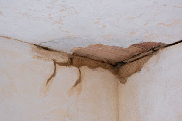 Best Water damage restoration specialists  in Kewanee, IL