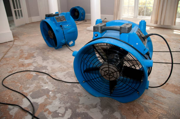 Best Water damage restoration near me  in Kewanee, IL