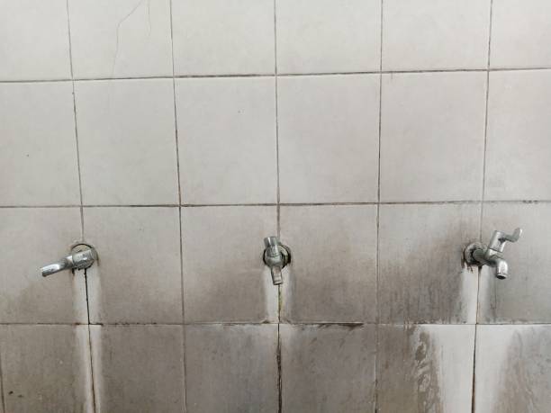  Kewanee, IL Water damage restoration Pros