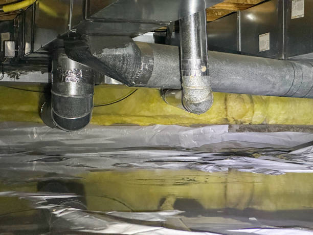 Best Flood restoration services  in Kewanee, IL