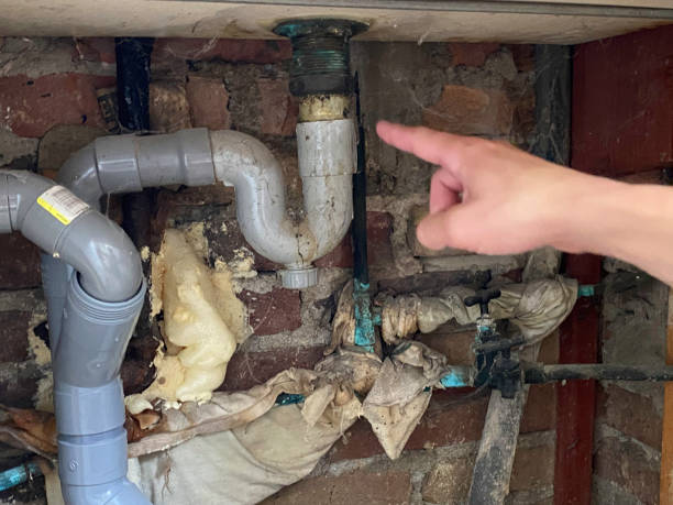 Best Flood damage cleanup  in Kewanee, IL