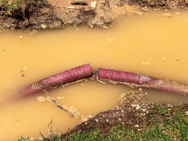 Best 24/7 water damage repair  in Kewanee, IL